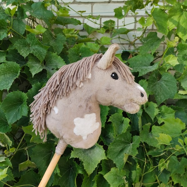 Hobby horse JĀJAMZIRDZIŅŠ